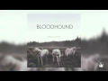 Foxing - Bloodhound (Audio) 