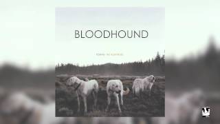 Foxing - Bloodhound (Audio)