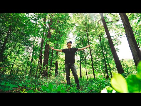 Me, the tree and River.