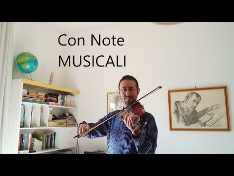 Baby - Sfera Ebbasta & J Balvin (violin cover by Vincenzo Monaco) + note musicali nella descrizione