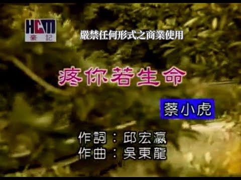 蔡小虎-疼你若生命(官方KTV版)