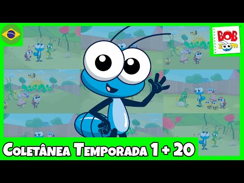 Bob Zoom Temporada 1 Completo | Vídeo Infantil Musical Oficial @BobZoom