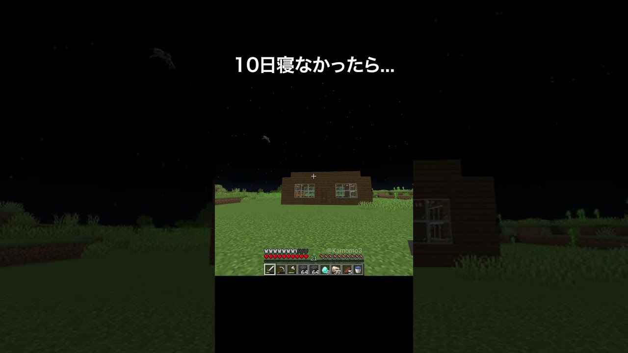 10日寝なかったら #マイクラ