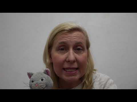 Der Musikater in der Kastanienallee