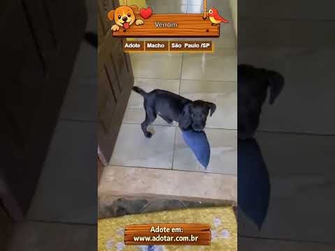 Vídeo de Venom