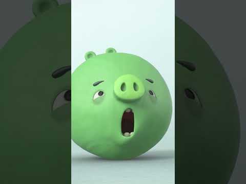 Watch Out! Puffed Up Pigs Out of Control ⚠️🎈