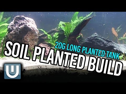 20g Soiled Planted Tank | Reboot of Old Dutch Style