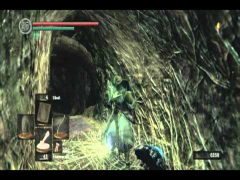 Finding the Crystal Lizards in the Great Hollow