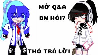 Q&A[]Bn Hỏi Thỏ Trả Lời🗿