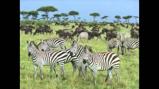 Uyadela - Miriam Makeba & The Skylarks