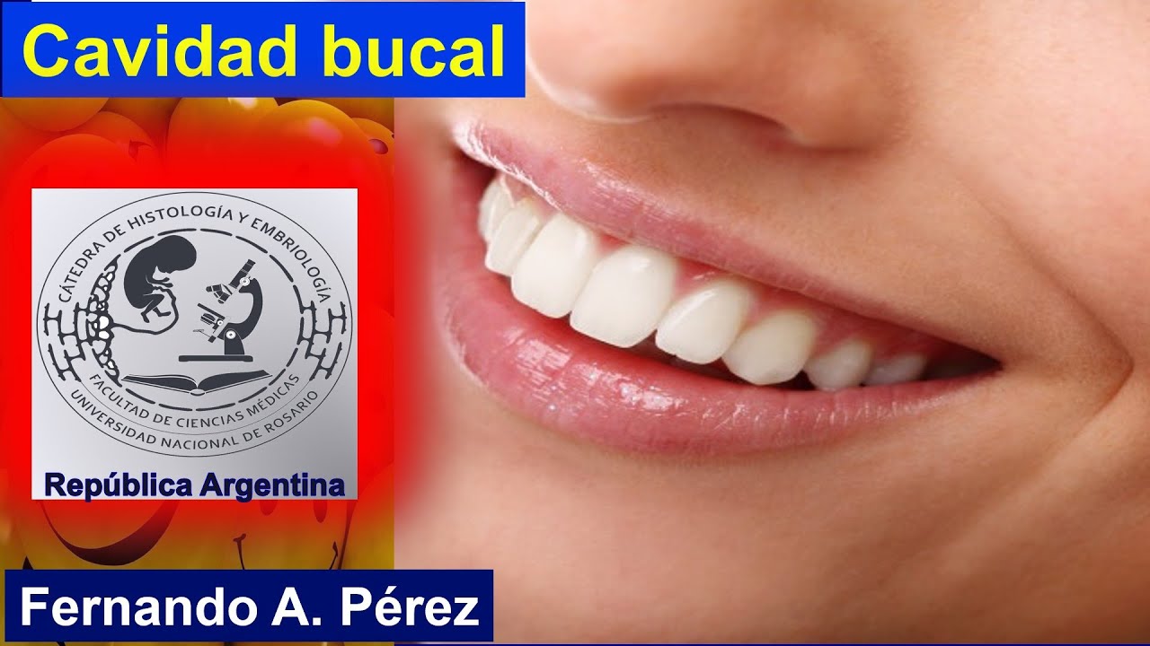 Cavidad bucal