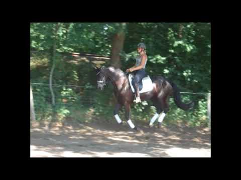 DONNA NOBLESSA 3j. v. Don Nobless - Lord Liberty VB 17.000,- Euro