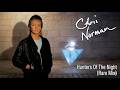 Chris Norman Hunters Of The Night Cover Remix