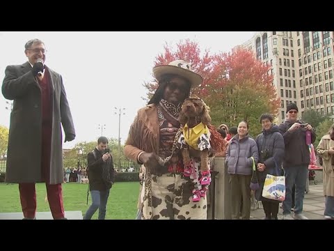 Chicago pets strut their stuff during annual Halloween costume contest - YouTube