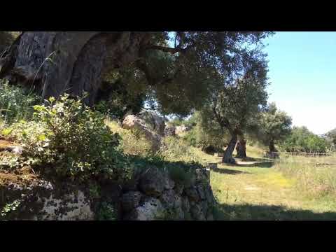 PARCO RUPESTRE LAMA D'ANTICO #valleditria #puglia #trulli