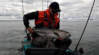 Amazing Bluefish Bite Before A Scary Storm
