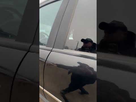 фото mercedes-benz m-класс amg ii (w164) рестайлинг 0