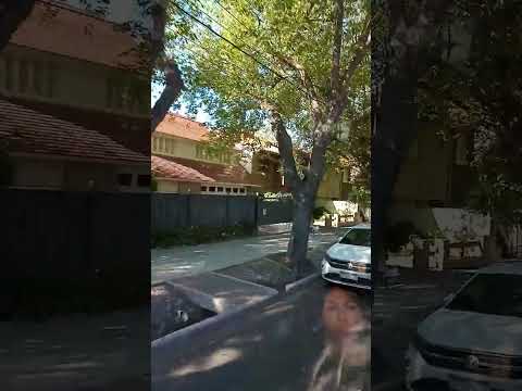 Ver 7744, Avenida Emilio Civit rumbo al Parque San Martin, Mendoza, Argentina 2024