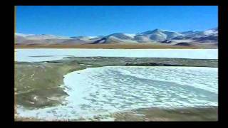 Day by Day Roland Orzabal/WildWorld cover