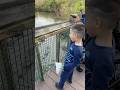 Mom Freaks Out When Son Gets Too Close To Alligators Short Shorts Shortsvideo