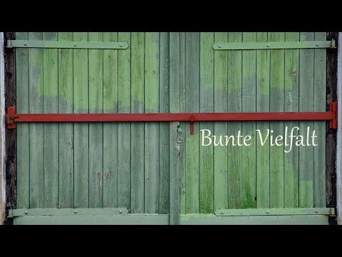 Abenteuer Naturfotografie | Bunte Vielfalt - alte Garagentore