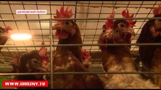Продукция крестьянско-фермерского хозяйства «Жайна» отличается высоким качеством и низкими ценами