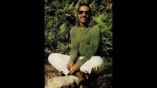 Stevie Wonder Send One Your Love Instrumental Version