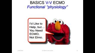 Dr Manny V-V ECMO Learn shop part 4: Circuit dynamics