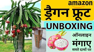 dragon fruit plant Amazon unboxing || कैंसर को भी ठीक कर देता है || पूरे भारत में लगा सकते हैं||