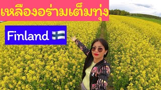 ดอกไม้กินได้ เหลืองอร่ามเต็มทุ่ง 31 พฤษภาคม 2568