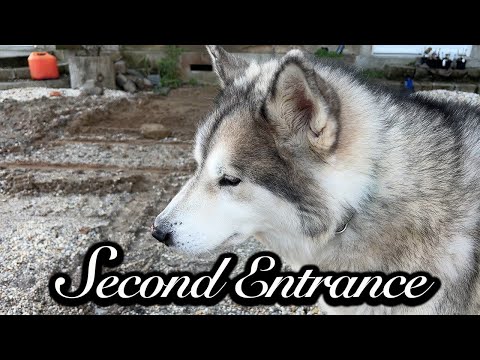 We found a second entrance to the hidden tunnels under the Chateau - Chateau Life 🏰 EP 256