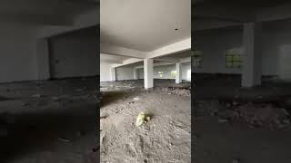 Showroom for Rent in Sankhol, Bahadurgarh