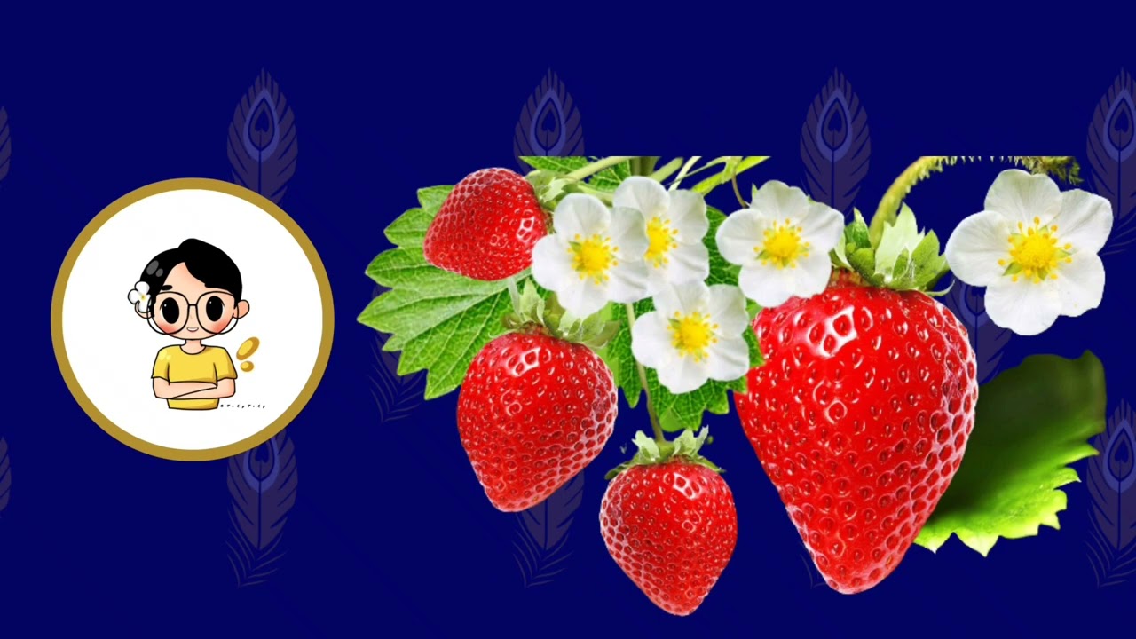 Lesson 9 - Flowering Plants