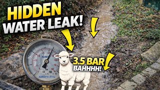 HIDDEN WATER LEAK! CAN WE GET IT 