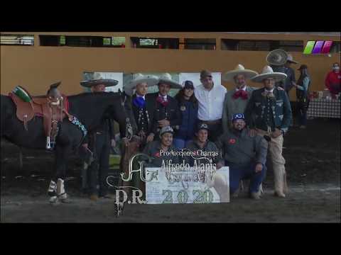 DLM278 080220 Bloque 4   4 Torneo Guadalupano Pachuca 2019 Coleadero