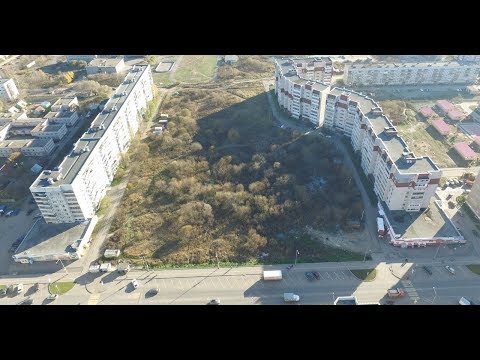 Фрязиновский парк