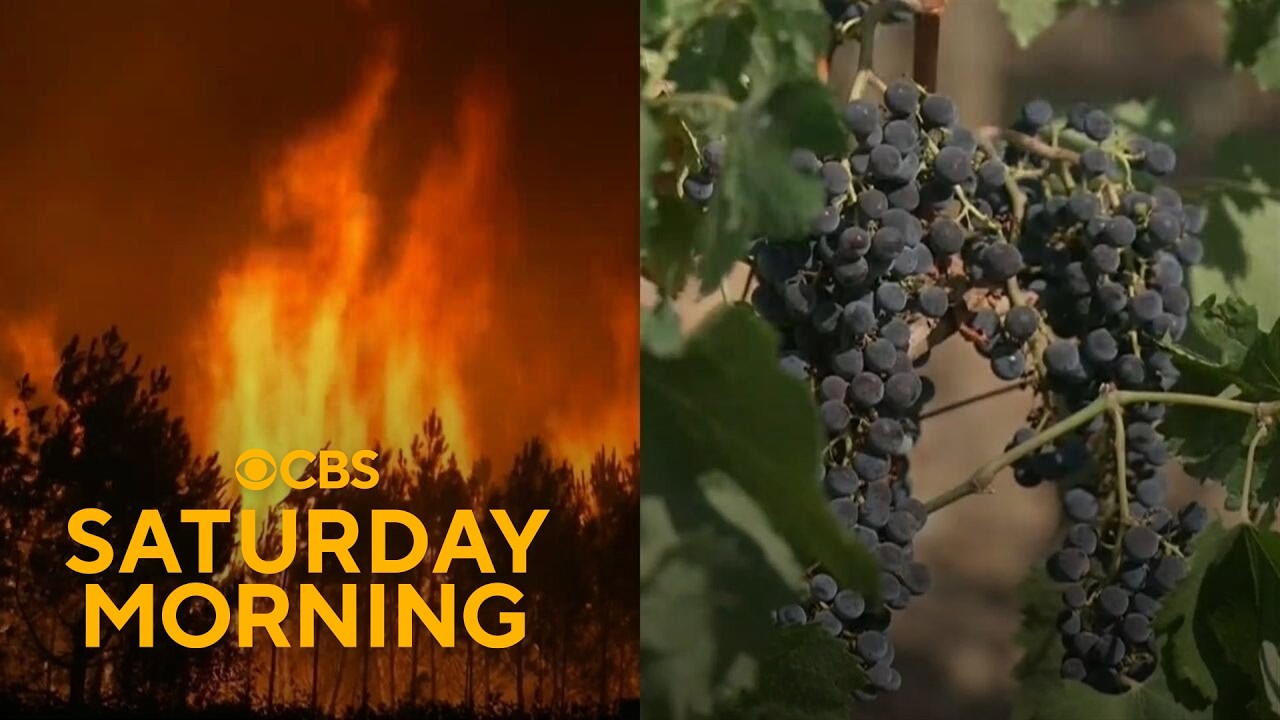 Wildfires threaten France's historic Bordeaux wine region