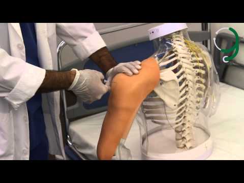 Intramuscular and Subcutaneous Injections