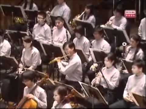 2009 AYO brahms 4th symphony flute solo