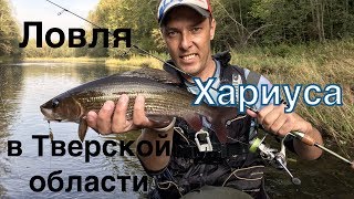 Рыбалка в тверской области на бенских порогах