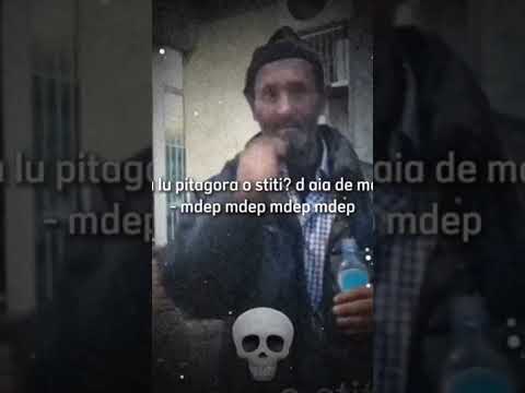 teorema lui Pitagora!  mbep mbep!