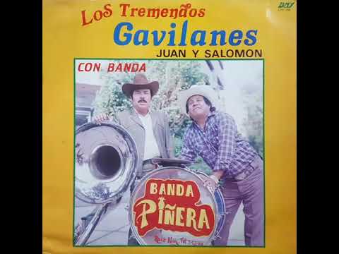 download lagu mp3 mp4 Los Tremendos Gavilanes Discografia, download lagu Los Tremendos Gavilanes Discografia gratis, unduh video klip Los Tremendos Gavilanes Discografia