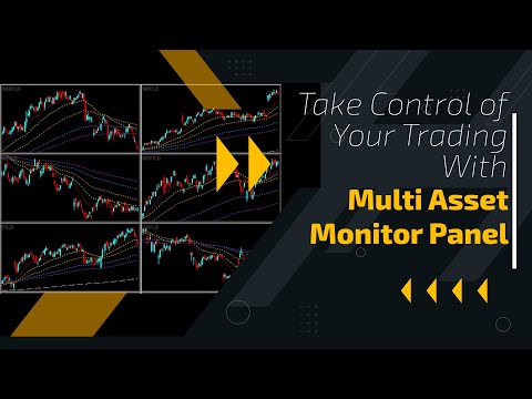 Video Multi Asset Monitor Panel