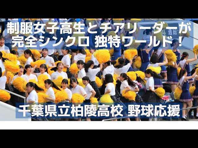 柏陵高校野球部