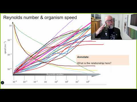 ZOO*3700 - Lecture 02 - Plankton I