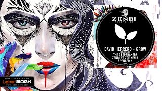 David Herrero - Grow (The Deepshakerz Remix)