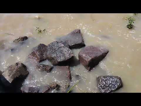 Magdalena, provincia de Buenos Aires Argentina.