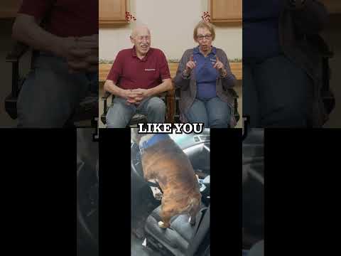 Dr. Pol Reacts - Somebody is READY to hit the road! 🚗🐶#drpol