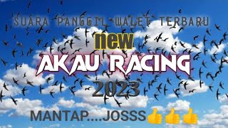 Download lagu SP AKAU RACING 2023 SUARA PANGGIL WALET TERBARU ma... mp3