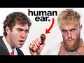 Exposing Stupidly Expensive Things YouTubers Own Ft Jake Paul